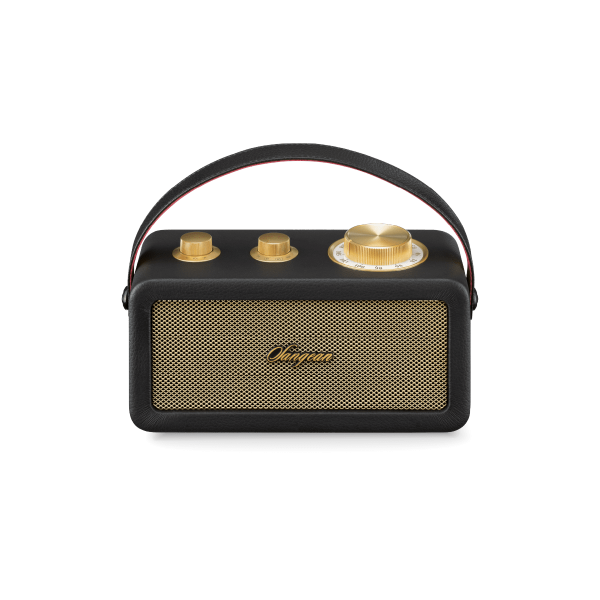 RA101 BLACK 1