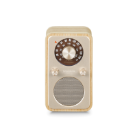 WR-9 WHI ASH תמונה 1